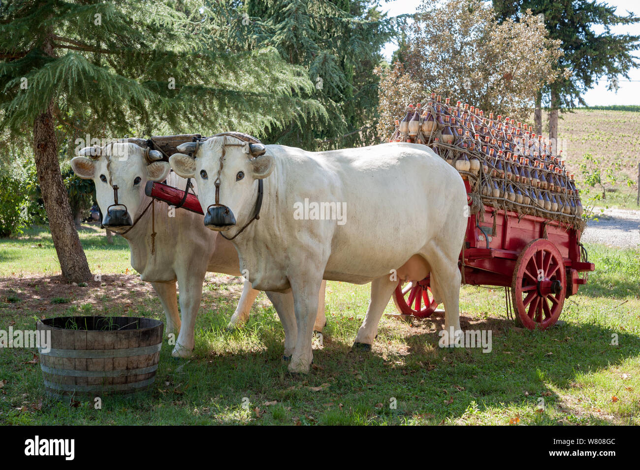 La ricreazione di un fiorentino tradizionale carro pieno di vino Chianti boccette, tirata da una coppia di razza Chianina buoi. Foto Stock