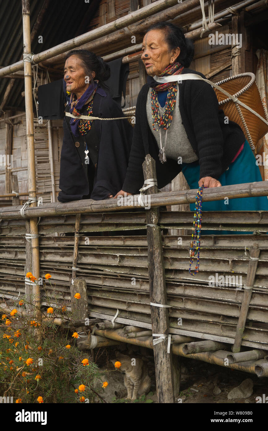 Apatani donne con tatuaggi facciali e naso tradizionali tappi / Yapin Hulo realizzato per farli sembrare poco attraente per i maschi dalle altre tribù. Queste modifiche del viso sono ora fuorilegge. Tribù Apatani, Ziro Valle, foothills dell'Himalaya, Arunachal Pradesh.nord est dell India, novembre 2014. Foto Stock