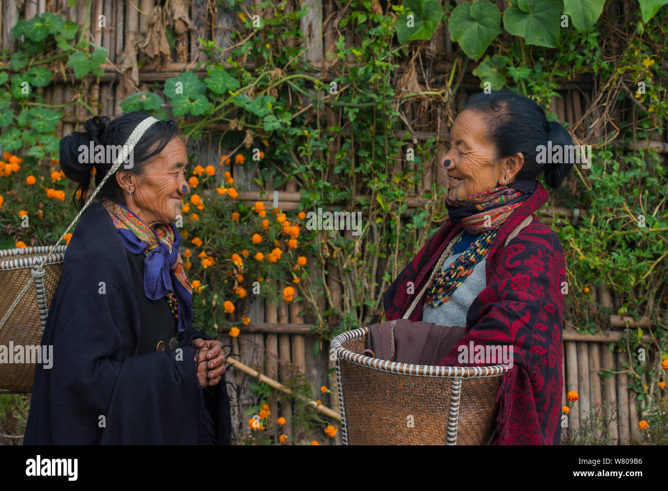 Apatani donne con tatuaggi facciali e naso tradizionali tappi / Yapin Hulo realizzato per farli sembrare poco attraente per i maschi dalle altre tribù. Queste modifiche del viso sono ora fuorilegge. Tribù Apatani, Ziro Valle, foothills dell'Himalaya, Arunachal Pradesh.nord est dell India, novembre 2014. Foto Stock