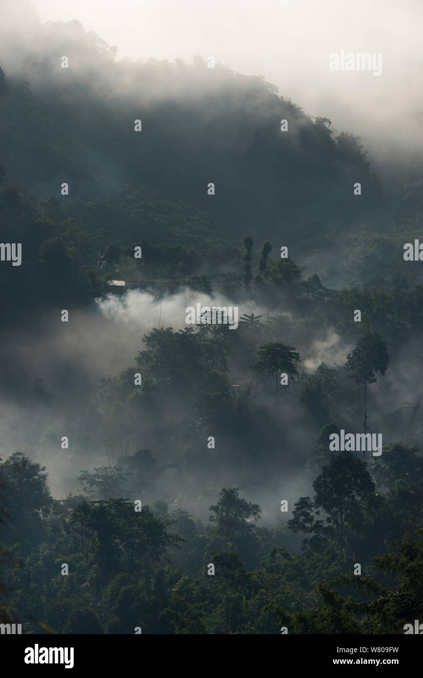 Bassa nube sulle foreste su i Naga Hills, Nagaland, nord-est dell India, ottobre 2014. Foto Stock