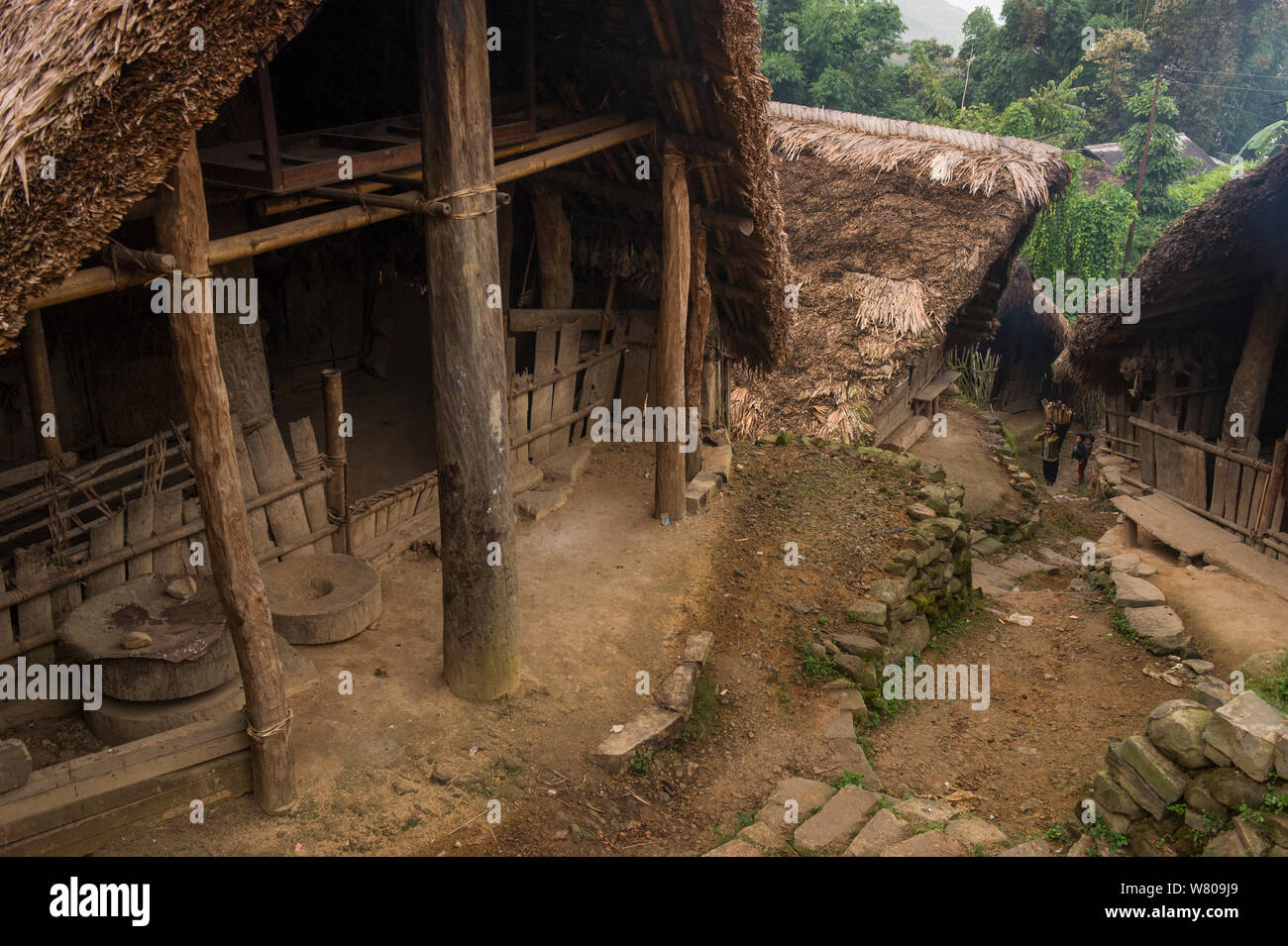 Konyak Naga Mongnyakshu Village, Mon district, Nagaland, nord-est dell India, ottobre 2014. Foto Stock
