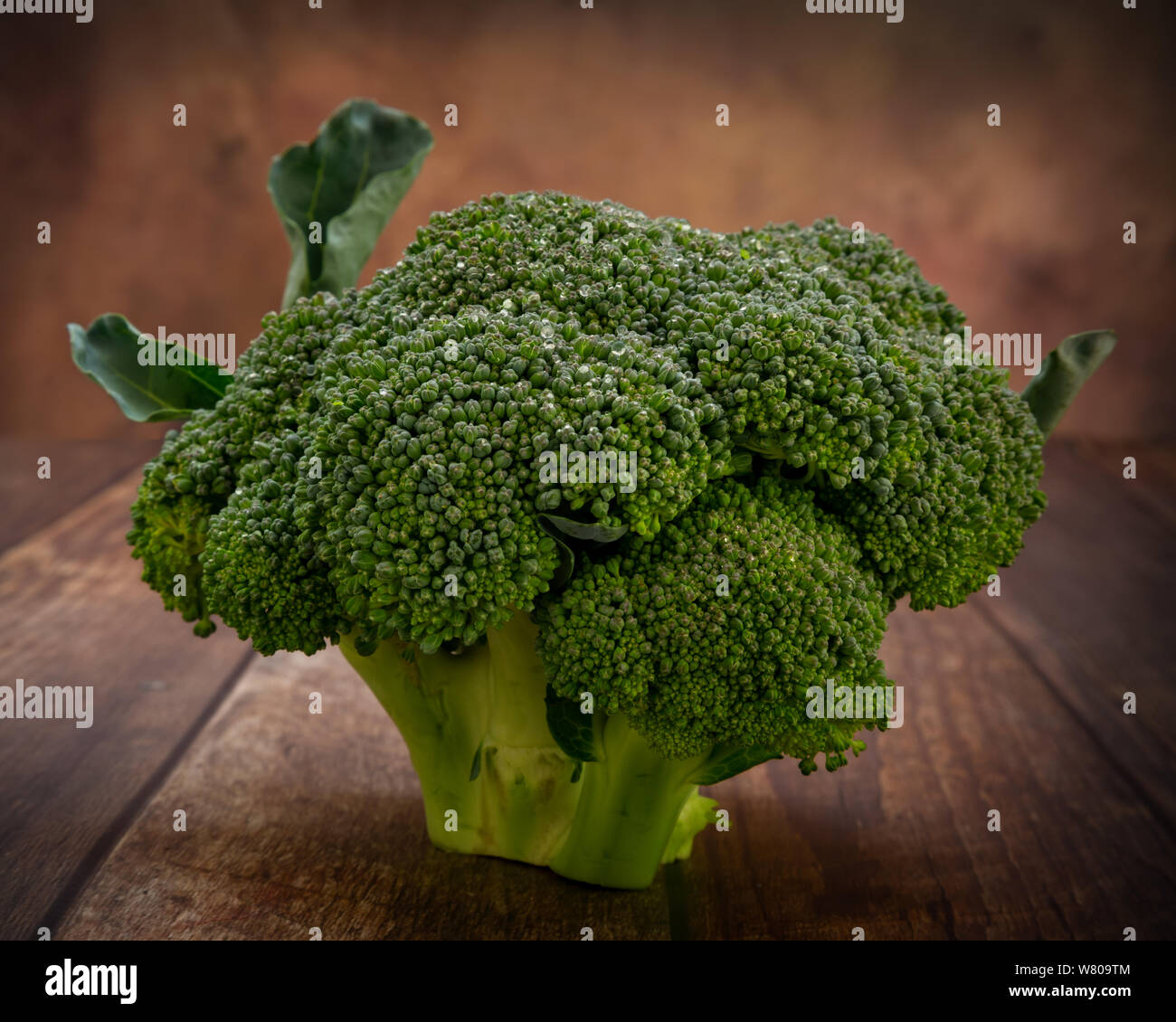 Appena raccolto testa di broccoli freschi. Foto Stock