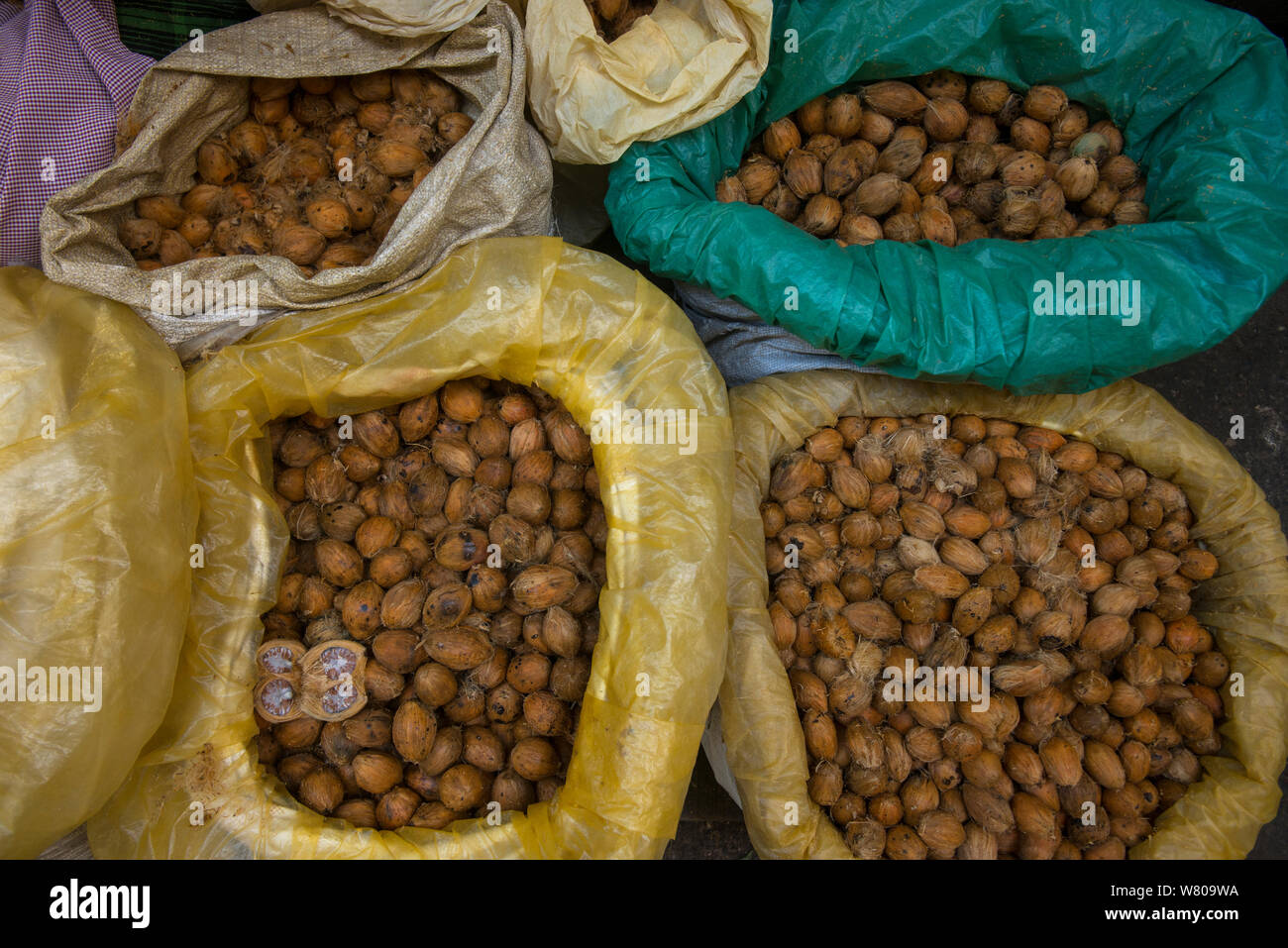 Noci di Betel, da noci di arec palm (Noci di arec catecù) mercato Barabazar, Shillong, Meghalaya, nel nord est dell'India. Ottobre 2014 Foto Stock