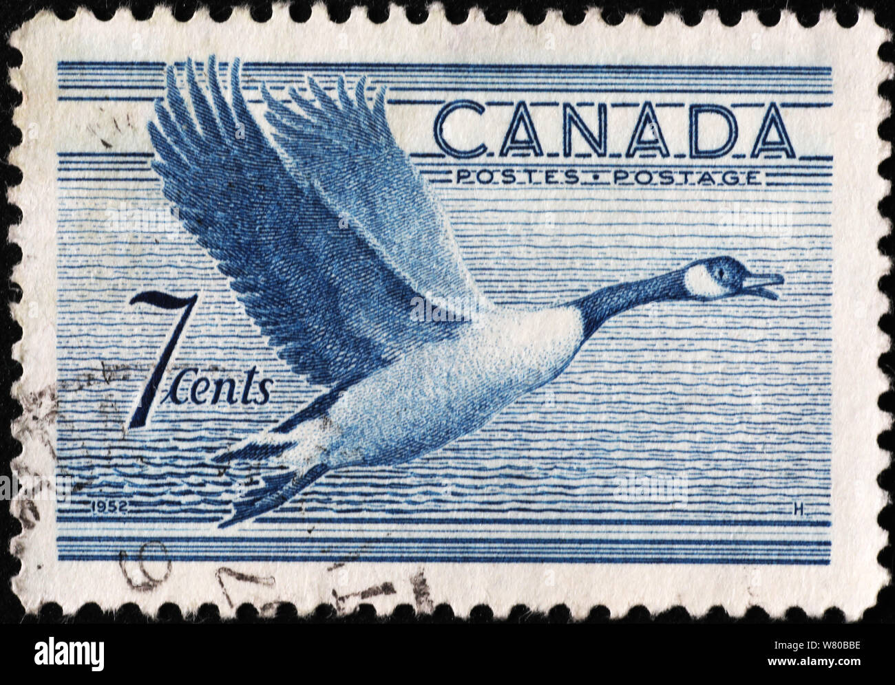 Canada Goose su vintage francobollo Foto Stock