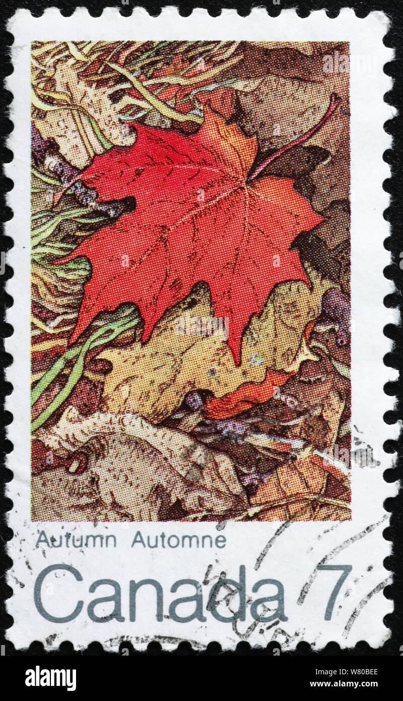 Foglia di acero in autunno canadese del timbro Foto Stock