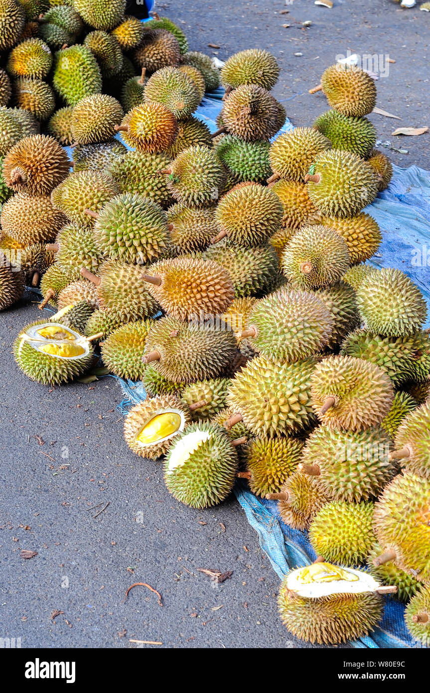 Durian nel mercato Foto Stock
