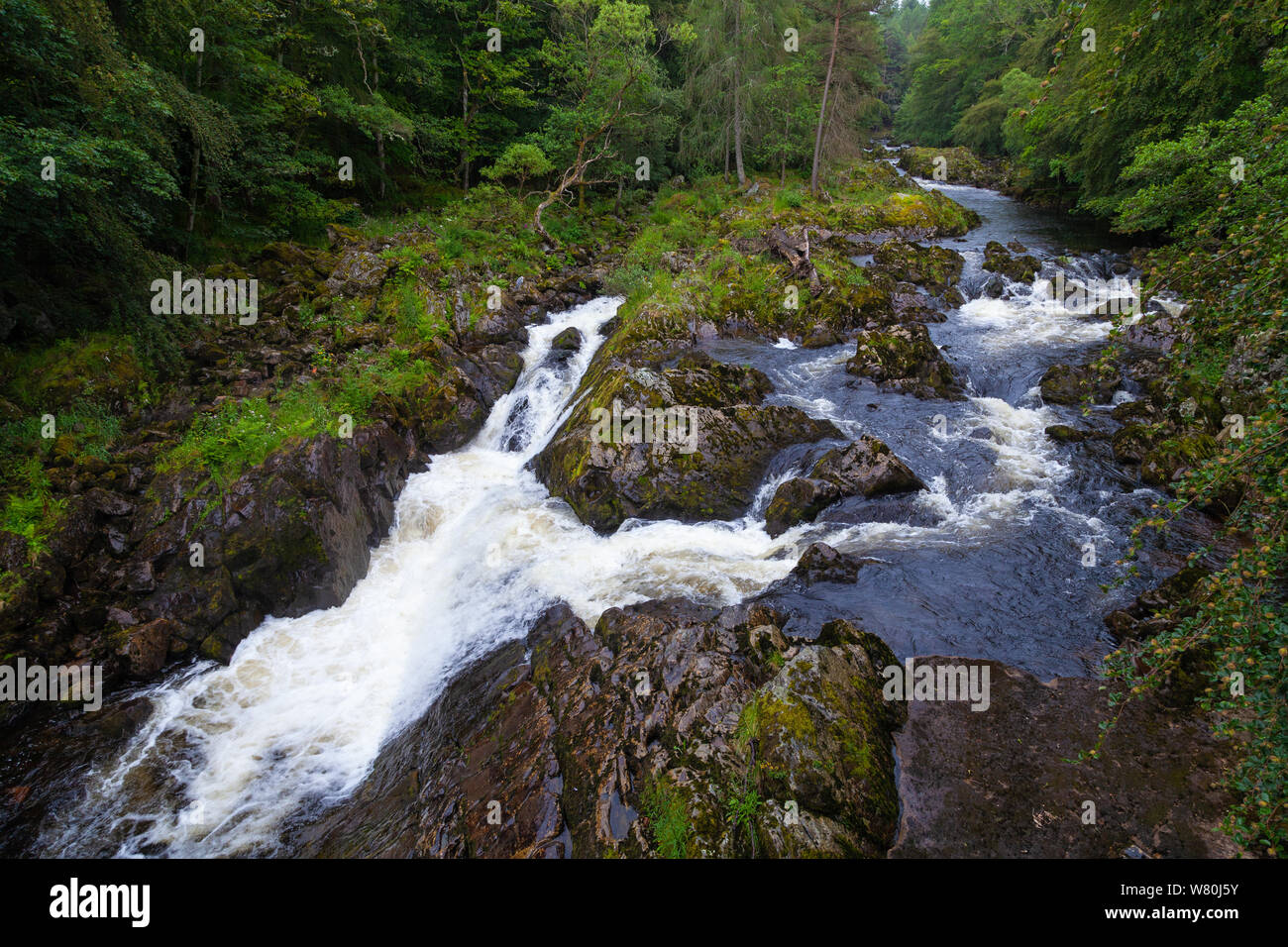 Cade di Feugh ponte di Feugh Banchory Aberdeenshire in Scozia Foto Stock