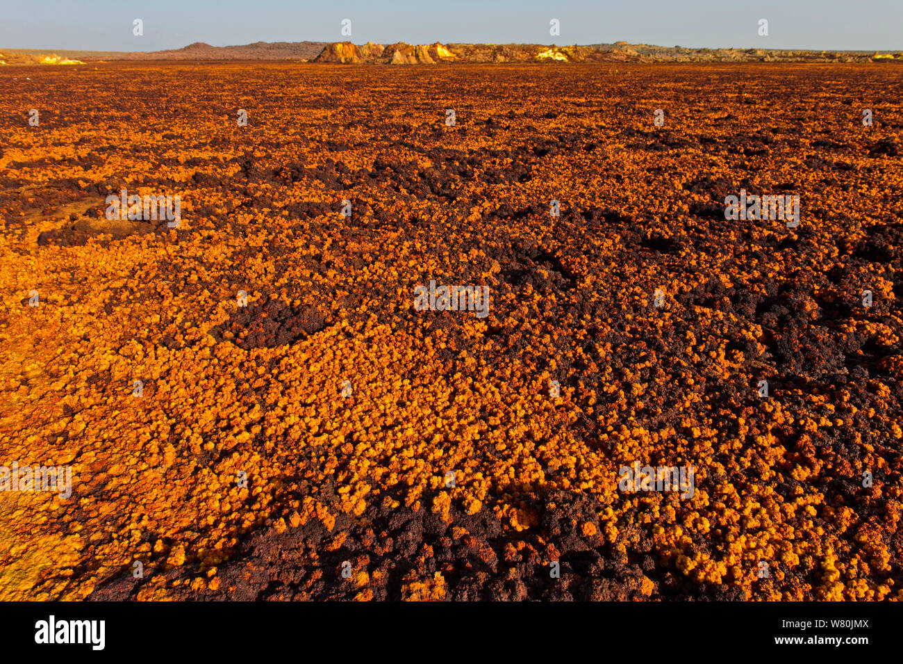Rosso-bruno di ossido di ferro di deposito di minerali, campo geotermico di Dallol, Danakil depressione di Afar, Triangolo, Etiopia Foto Stock
