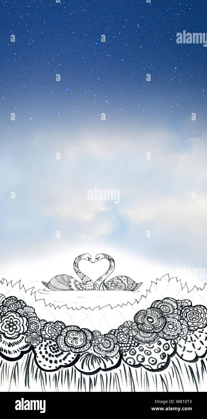 Montante illustrazione Pattern cigni night sky one-terzo background  da jziprian Foto Stock
