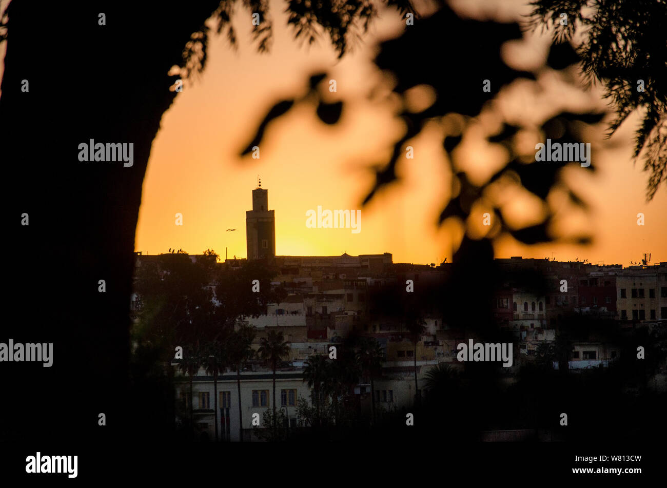 Gli alberi in primo piano sul fondo della medina di notte. Foto Stock