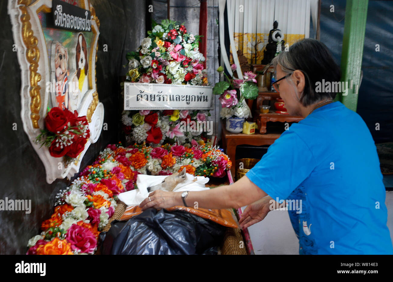 Un proprietario pregare sui resti di 12-anno-vecchio cane, nome è Meji, durante il suo funerale buddista servizio a Klong Toey Nai tempio a Bangkok.vittime gli amanti degli animali in Bangkok venite a Klong Toey Nai tempio per contrassegnare il passaggio dei loro amici animali con un buddista pieno servizio funebre che comincia con la preghiera da monaci e circa 2 ore di cremazione. Foto Stock