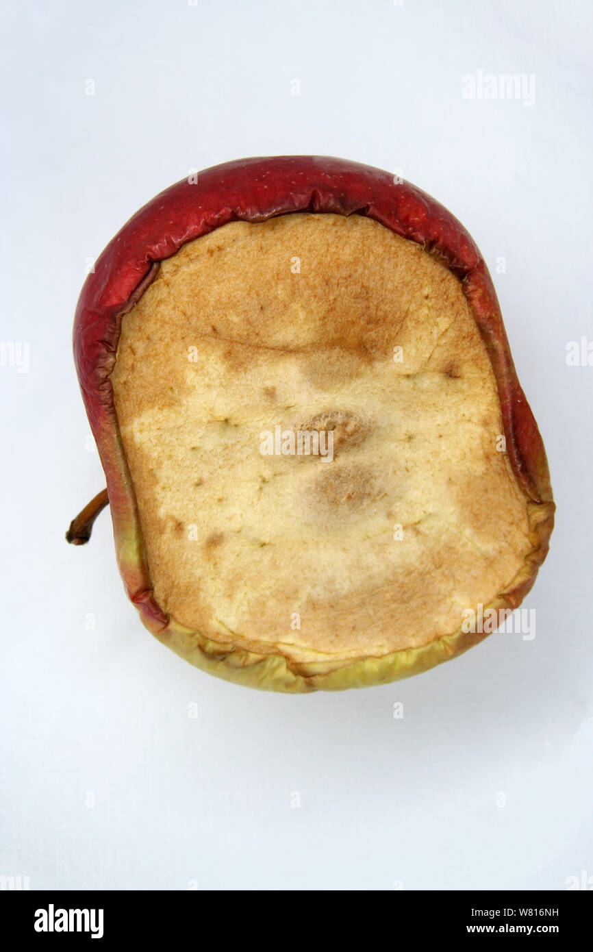 Apple stampati. Frutto di stampo. Stampo apple. Bad frutta. Bad Apple. Apple ammuffito. Foto Stock