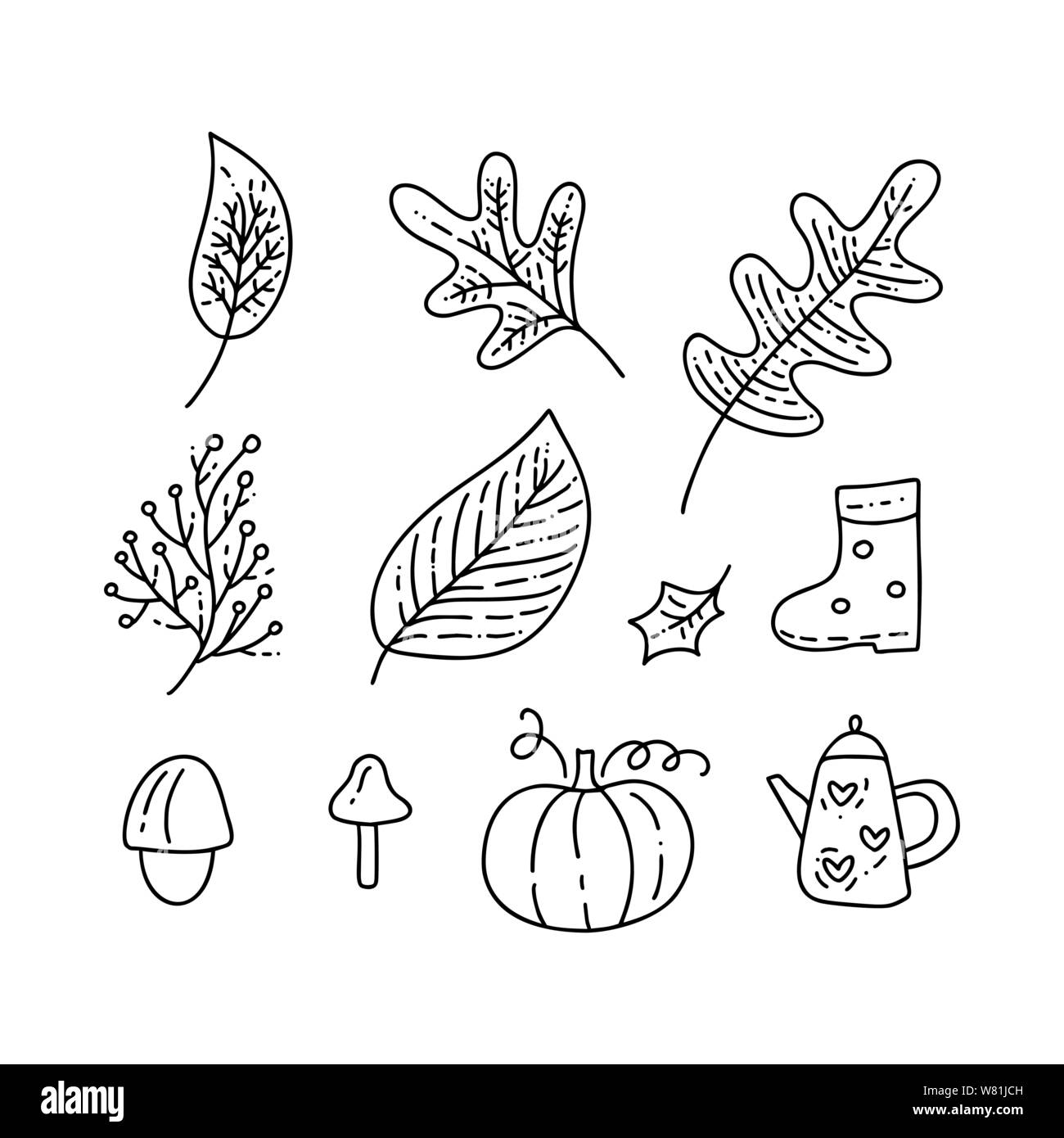 Set di vettore doodle monolinea elementi floreali. Collezione autunno graphic design. Erbe aromatiche, foglie, stivali, e coppa di zucca. Disegnato a mano moderno di ringraziamento Illustrazione Vettoriale