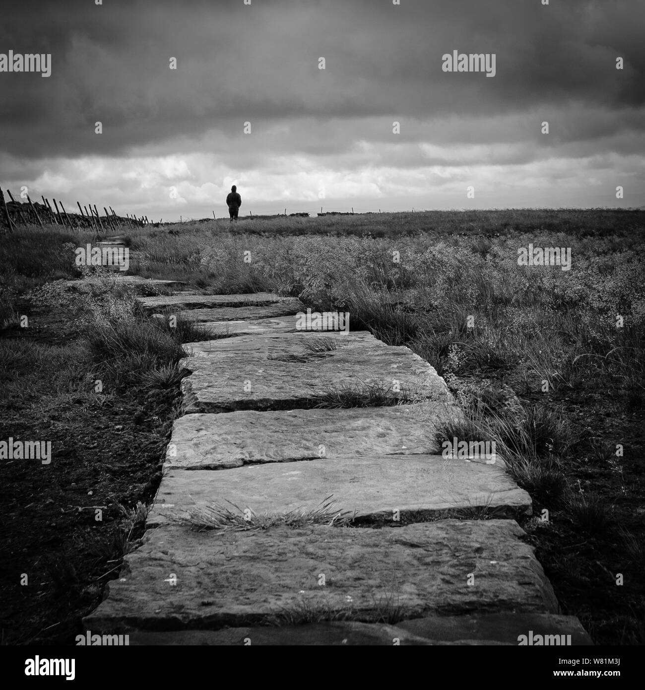 Walkers sul Buckden Pike, Yorkshire Dales National Park, Superiore Wharfedale, North Yorkshire, Inghilterra, Regno Unito Foto Stock