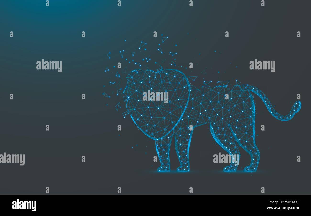 Lion bassa poli design, Animali africani astratta immagine geometrica, gatto selvatico wireframe poligonale mesh illustrazione vettoriale costituito da punti e linee su dar Illustrazione Vettoriale