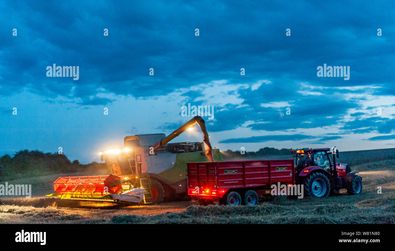 Grantham, Lincolnshire, Regno Unito. Il 7 agosto 2019. Una pausa nel meteo e condizioni dell'essiccatore, dopo diversi giorni di pioggia, consente agli agricoltori di lavorare fino a tarda notte a mettersi al passo con la combinazione e la raccolta prima di un altro meteo wet incantesimo. Credito: Matt arto OBE/Alamy Live News Foto Stock