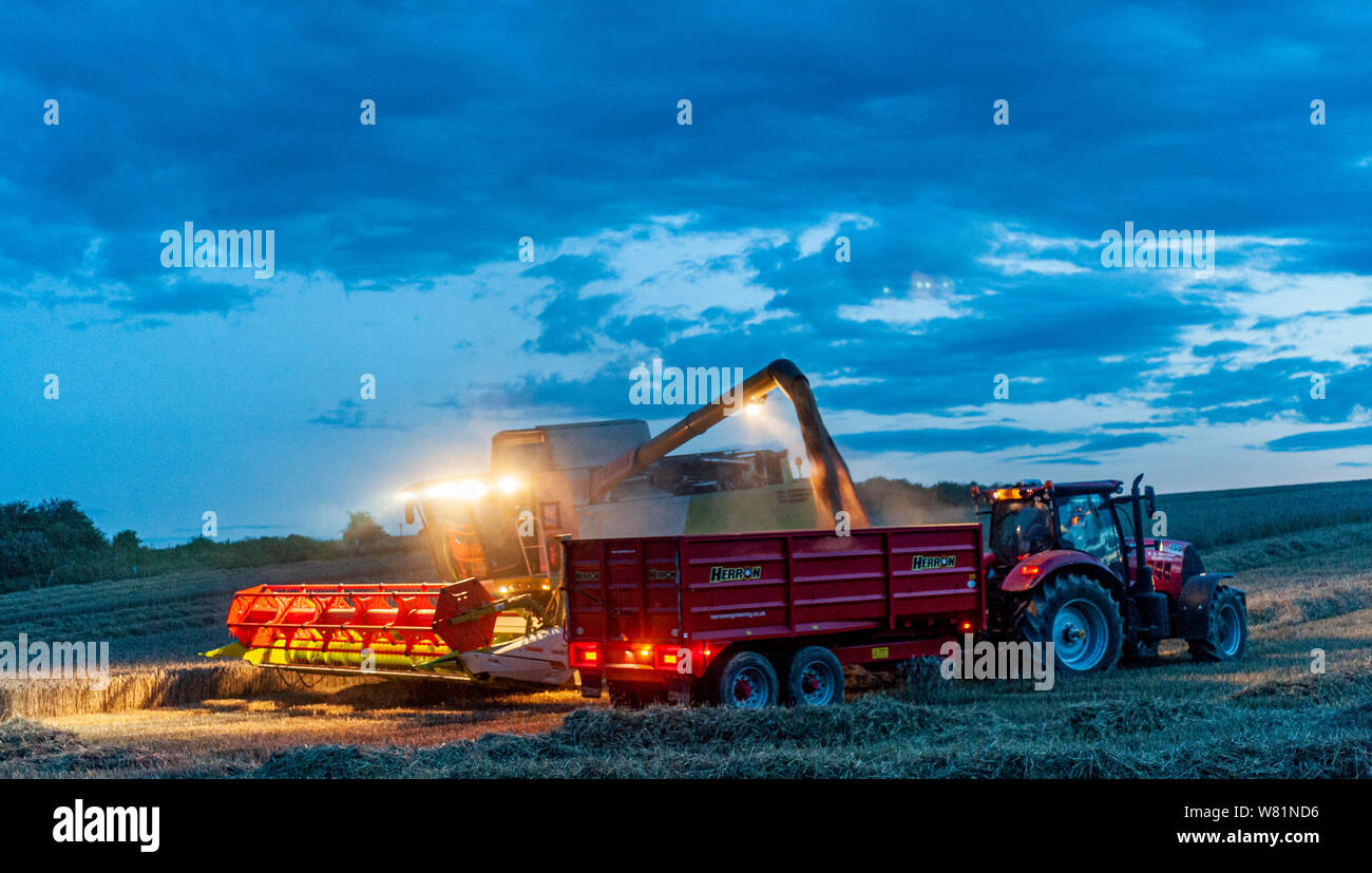 Grantham, Lincolnshire, Regno Unito. Il 7 agosto 2019. Una pausa nel meteo e condizioni dell'essiccatore, dopo diversi giorni di pioggia, consente agli agricoltori di lavorare fino a tarda notte a mettersi al passo con la combinazione e la raccolta prima di un altro meteo wet incantesimo. Credito: Matt arto OBE/Alamy Live News Foto Stock