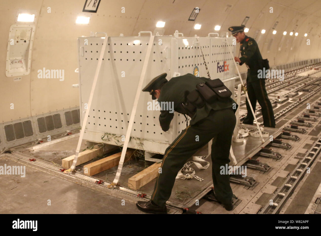 Cinese poliziotti paramilitari controllare l'armadio della FedEx Boeing 777 aereo jet, portante la tre-anno-vecchio americano-Nato panda gigante Bao Bao, poppa Foto Stock