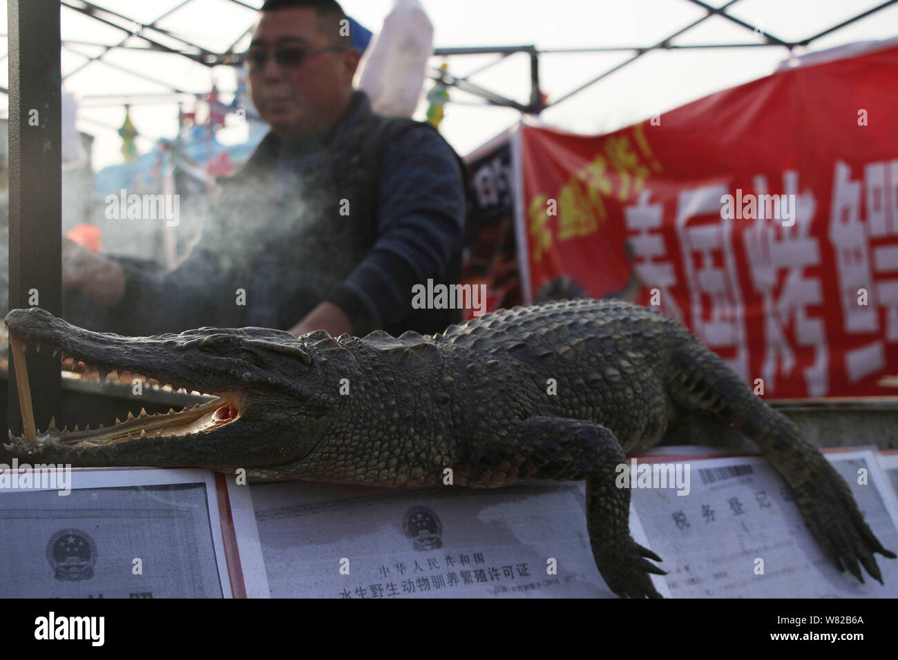 Un coccodrillo è in mostra presso il cibo bancarella vendendo grigliate di carne di coccodrillo a un tempio fair durante il nuovo anno lunare cinese, noto anche come molla Fe Foto Stock