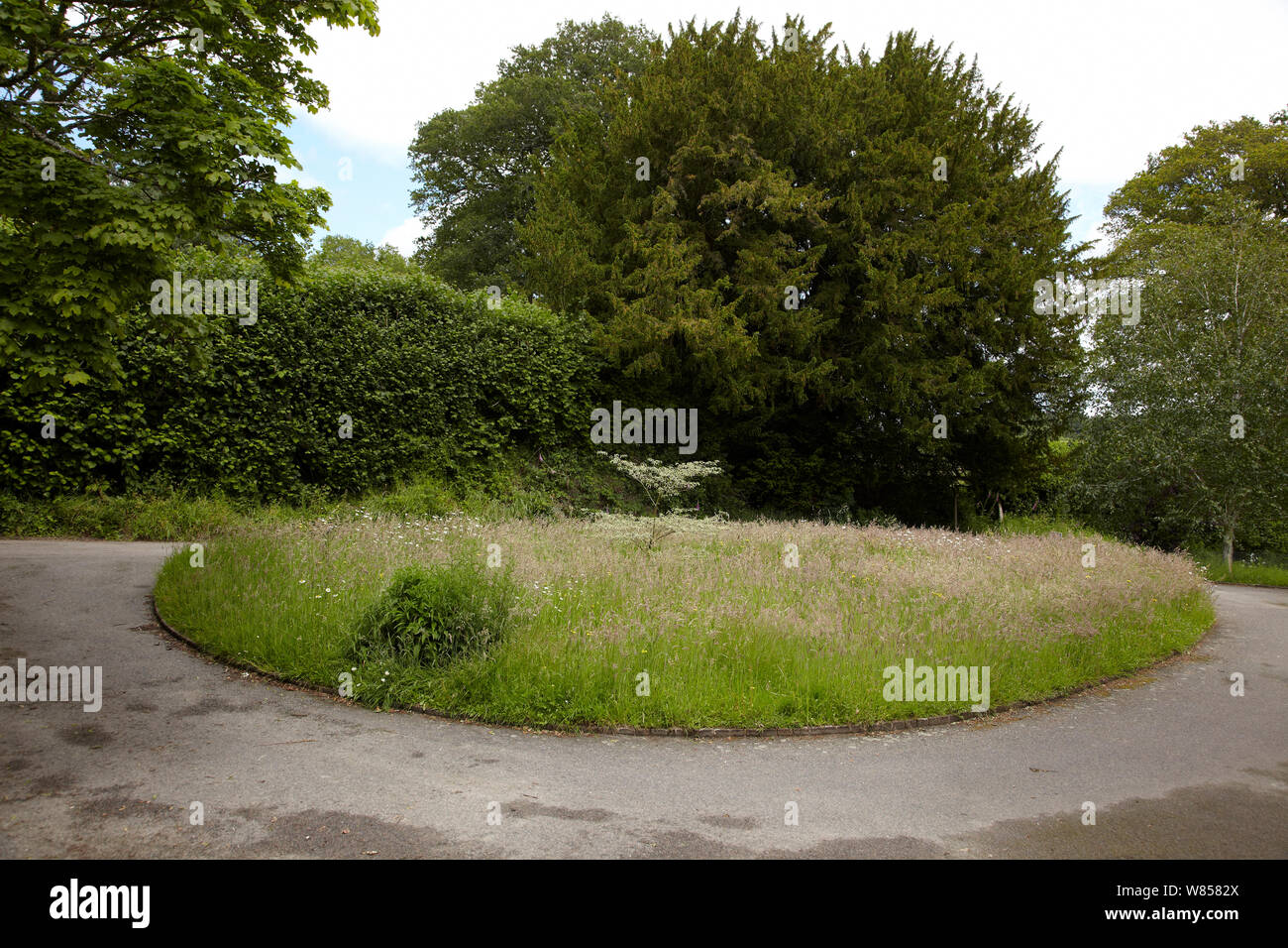 Prato a sinistra per tornare a un prato di fiori, Weald del Sussex, England, Regno Unito, Giugno Foto Stock