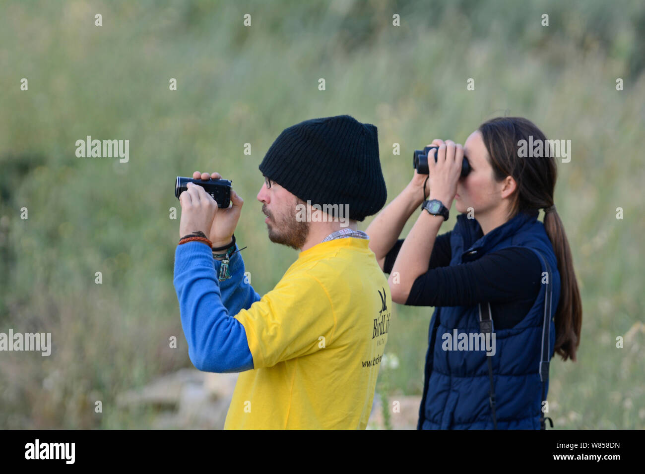 BirdLife Malta il personale di sorveglianza durante la caccia BirdLife Malta Springwatch Camp, Aprile 2013 Foto Stock