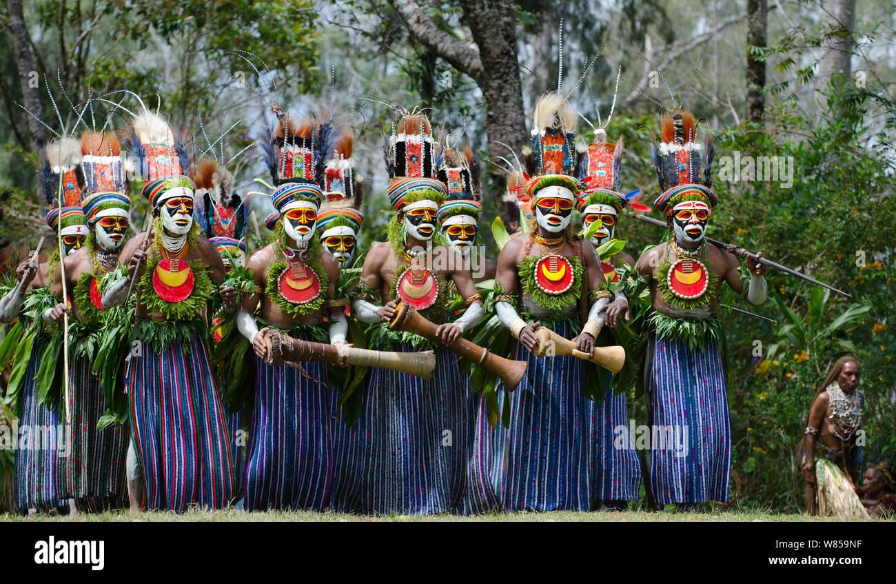 Gli artisti interpreti o esecutori tribali dal distretto di Anglimp, in provincia Waghi, effettuando in corrispondenza di un sistema online di Sing-sing - Hagen Visualizza, Highlands Occidentali, Papua Nuova Guinea, Agosto 2011 Foto Stock