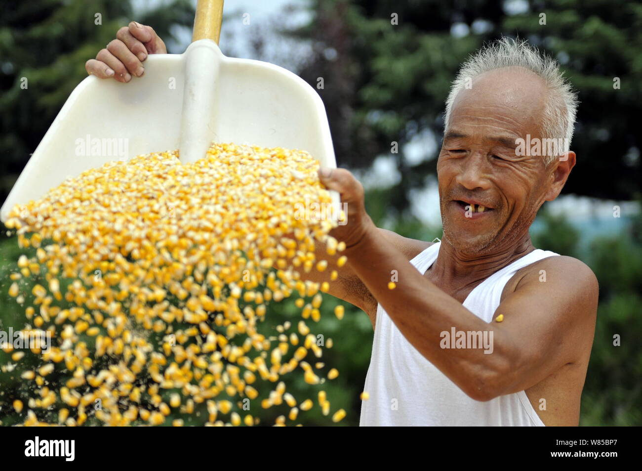 --FILE -- un agricoltore cinese versa fino calli nella città di Linyi, est della Cina di provincia di Shandong, 17 agosto 2016. Gli Stati Uniti martedì ha lanciato un chall Foto Stock