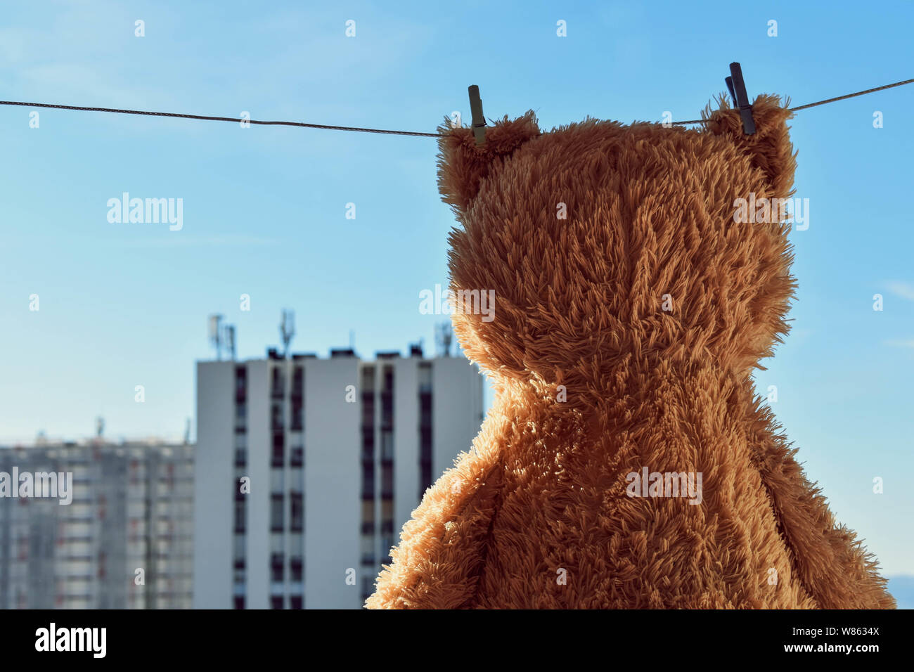 Teddy Bear toy essiccamento dell'aria dopo il lavaggio Foto Stock