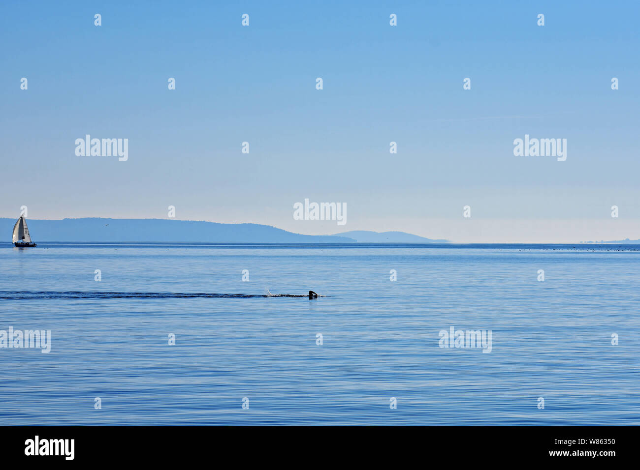 Il nuotatore solitario e una barca sul mare orizzonte Foto Stock
