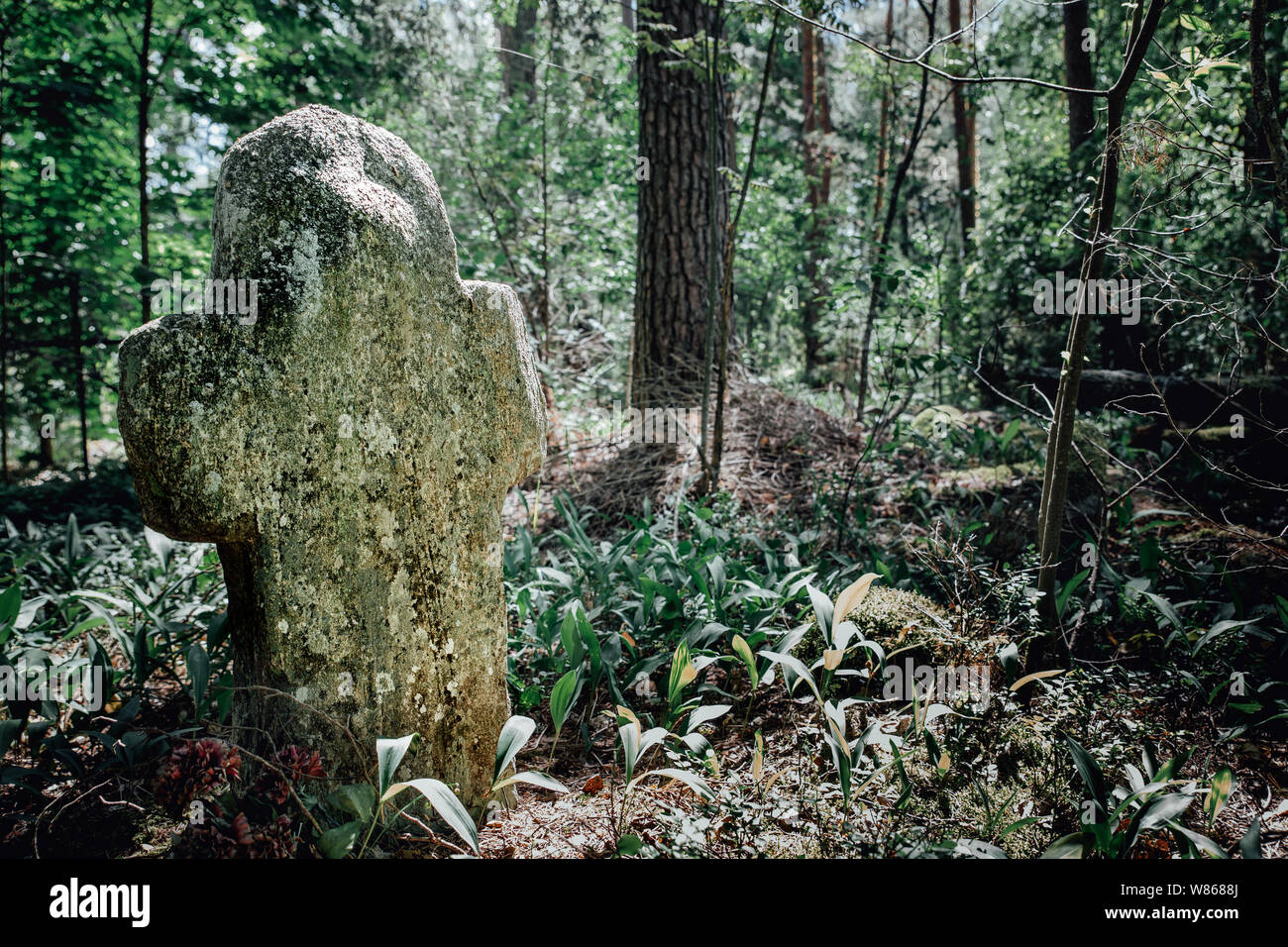 Croce di pietra nella Foresta estate al vecchio cimitero Foto Stock