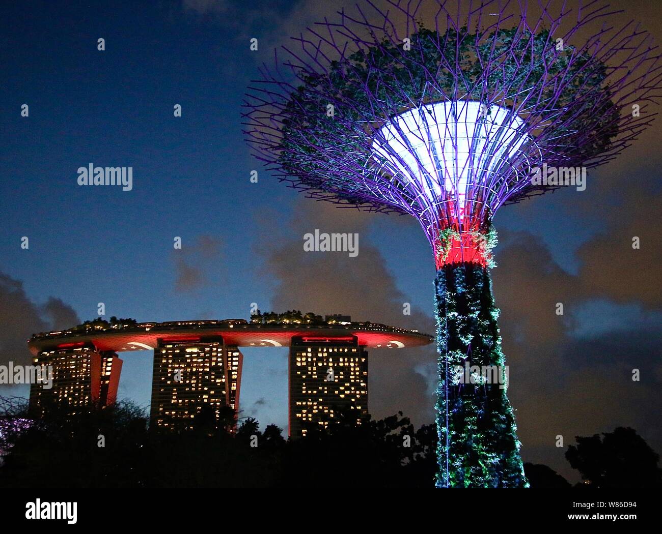 Giardini Supertree dalla baia di Marina Bay Sands proiettare la bandiera di Singapore Giornata Nazionale 2019 Foto Stock