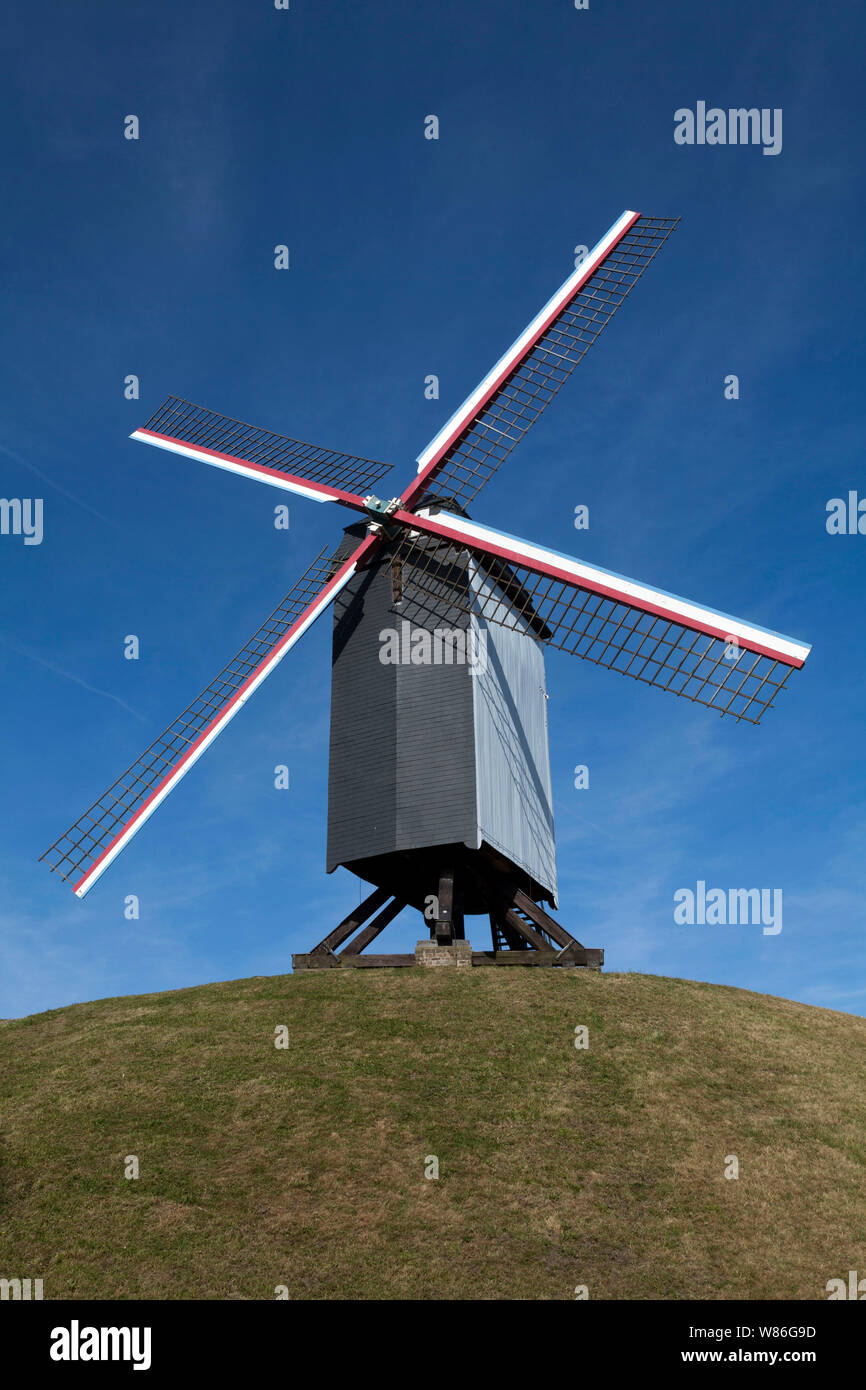 Il mulino a vento di legno in Bruges, Fiandre, in Belgio: la Bonne Chiere Windmill Bonne Chieremolen Foto Stock