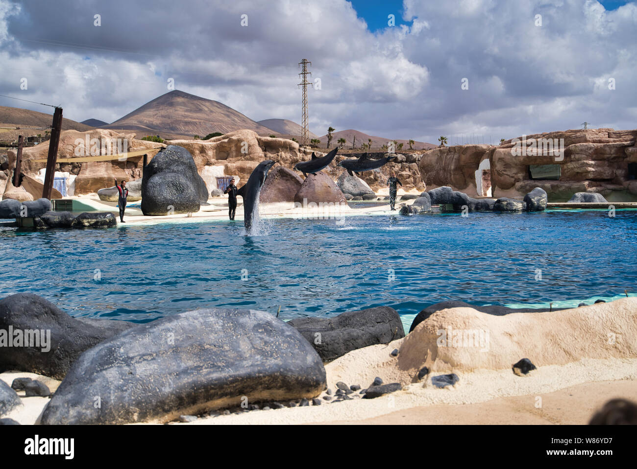 Lanzarote, Isole Canarie, Spagna - 20 Aprile 2019: Rancho Texas Park è il più grande zoo di Lanzarote. Spettacolo con delfini del mare in piscina. Foto Stock