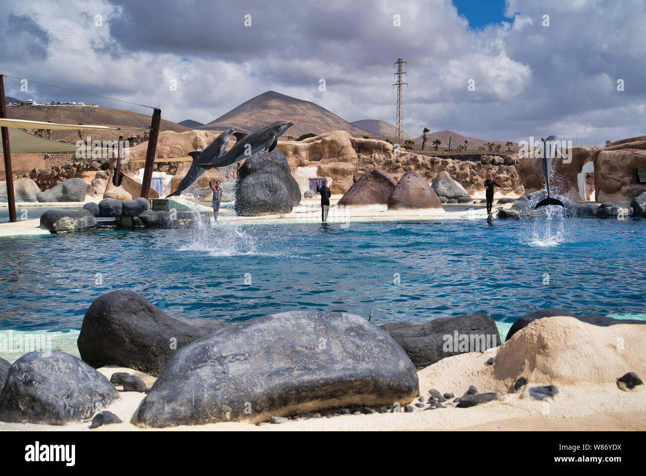 Lanzarote, Isole Canarie, Spagna - 20 Aprile 2019: Rancho Texas Park è il più grande zoo di Lanzarote. Spettacolo con delfini del mare in piscina. Foto Stock