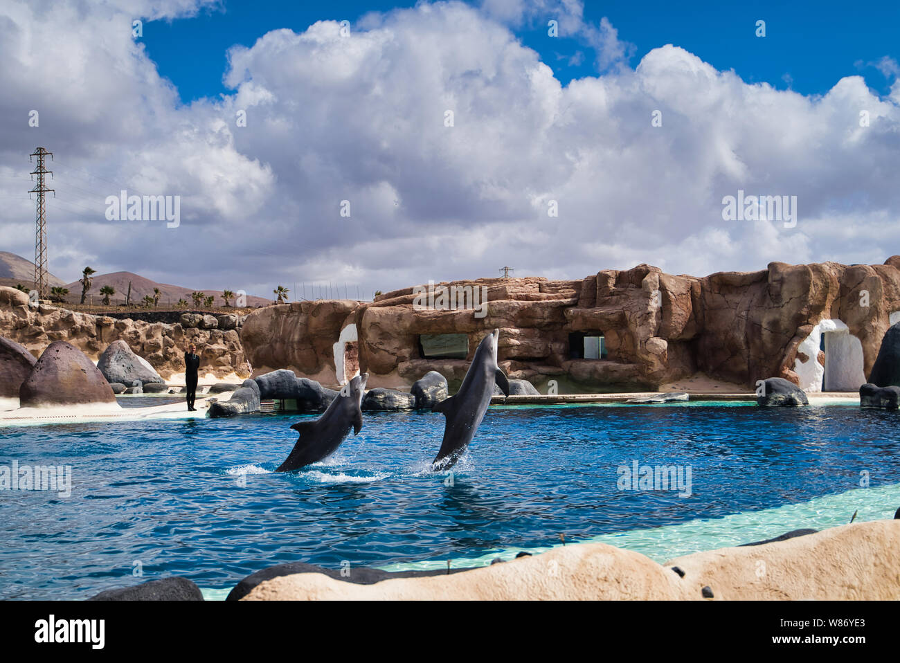 Lanzarote, Isole Canarie, Spagna - 20 Aprile 2019: Rancho Texas Park è il  più grande zoo di Lanzarote. Spettacolo con delfini del mare in piscina  Foto stock - Alamy
