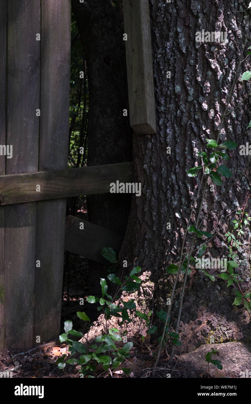 Decadendo recinzione in legno in Deep South Alabama, Stati Uniti d'America. Foto Stock