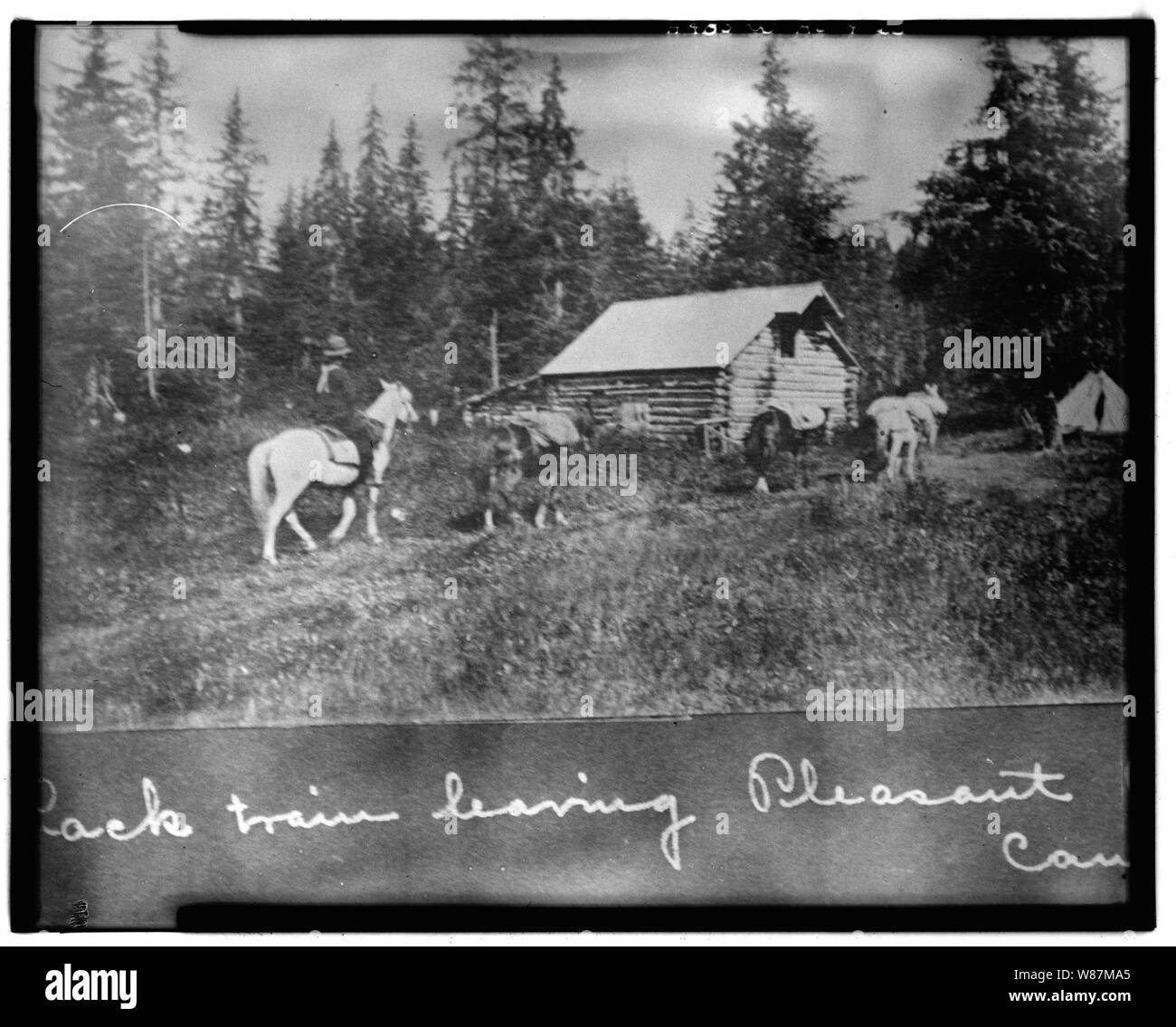 25. Fienile NWMP NEL PERIODO 1911-1913 - Dalton Trail Post, miglio 40, Haines Highway, Haines, Haines Borough, AK Foto Stock