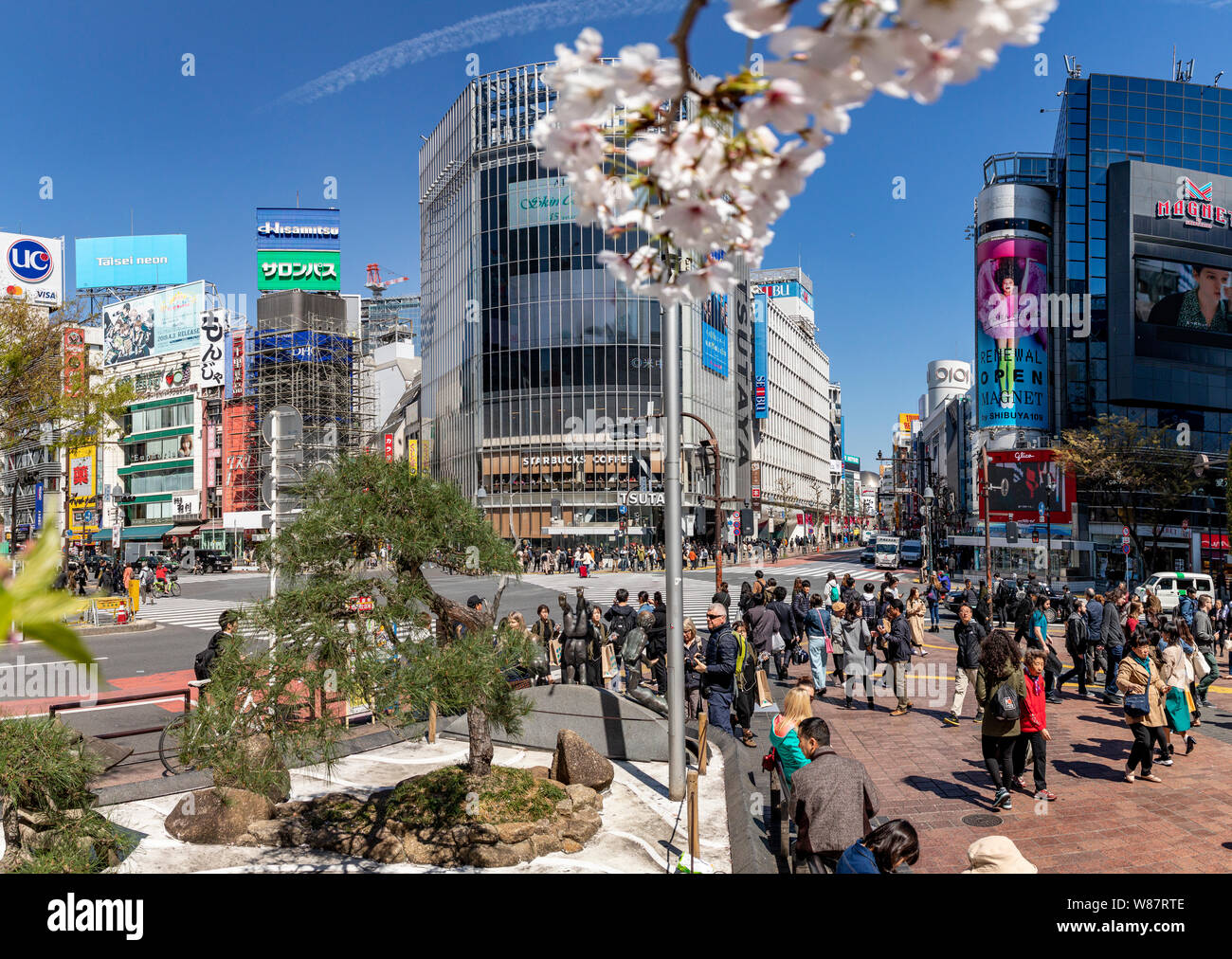 Incrocio di Shibuya, Tokyo, Giappone. Foto Stock