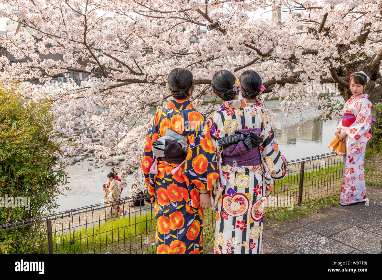 Ragazze passeggiate sulle rive del fiume Kamo, Kyoto, Giappone Foto Stock