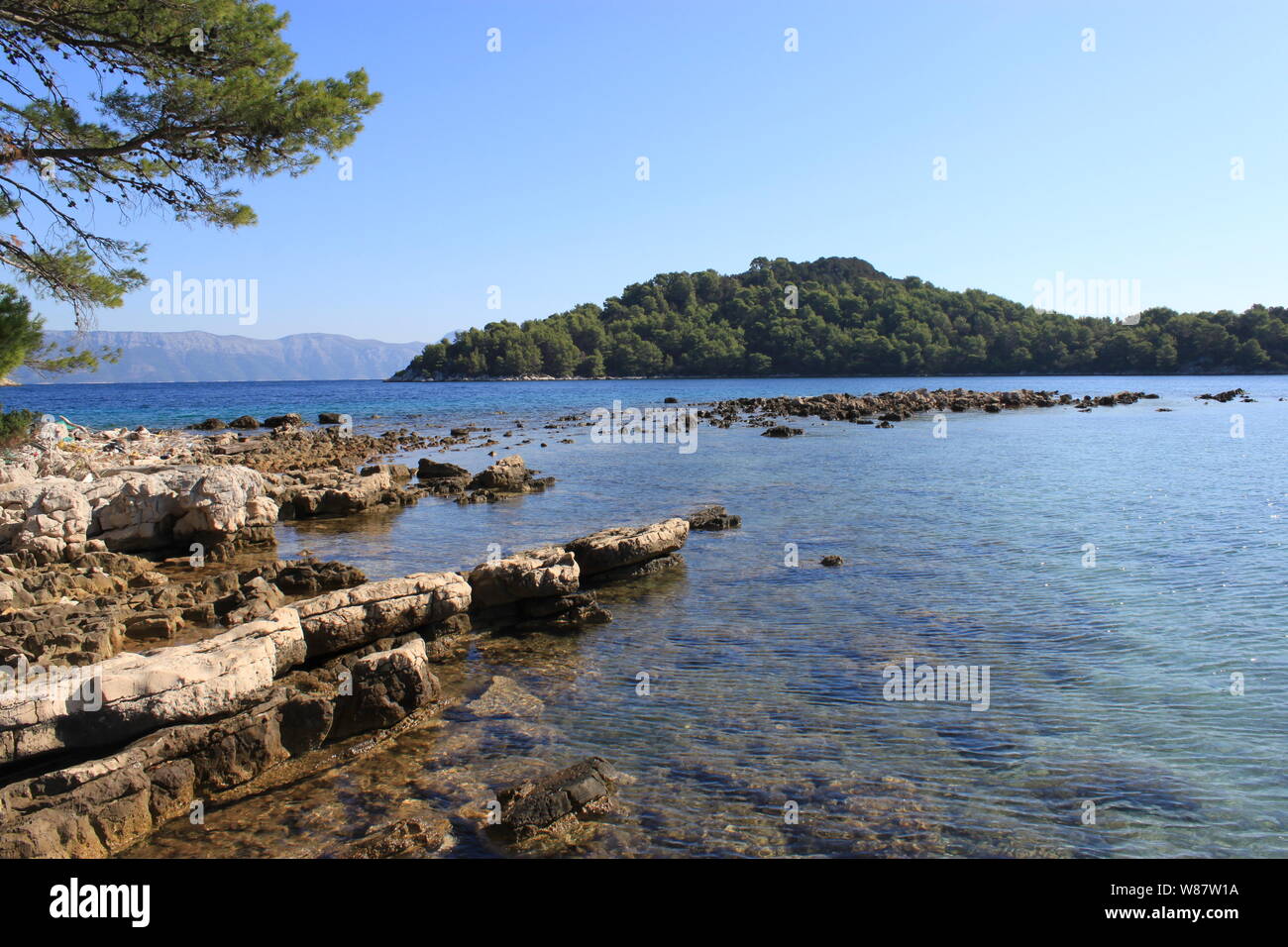 Lenga cape nel Parco Nazionale di Mljet, Croazia Foto Stock