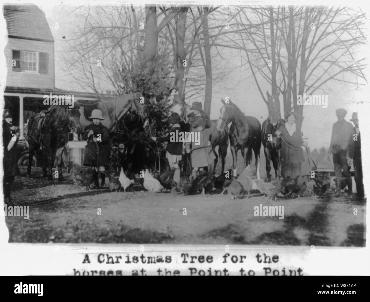 Un albero di Natale per i cavalli al punto a punto Scuola di Equitazione vicino a Washington, D.C. Foto Stock