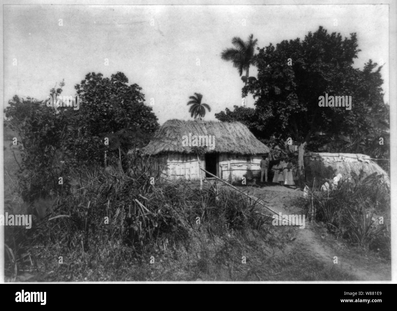 Una casa cubana, Campo Florido Foto Stock