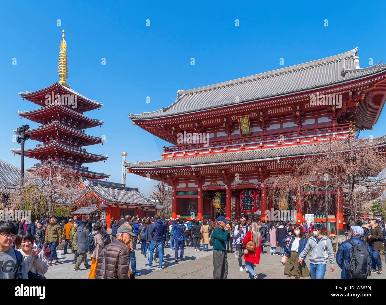 Il Hōzōmon gate e Five-Storied Pagoda all'ingresso di Senso-ji, un antico tempio buddista nel quartiere di Asakusa, Tokyo, Giappone Foto Stock