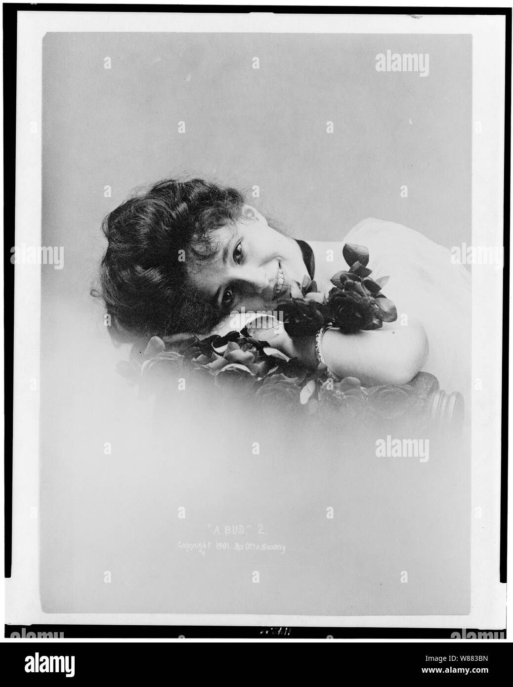 Un germoglio Foto Stock