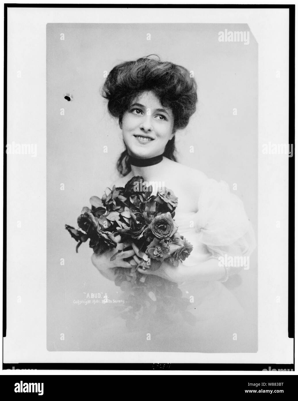 Un germoglio Foto Stock