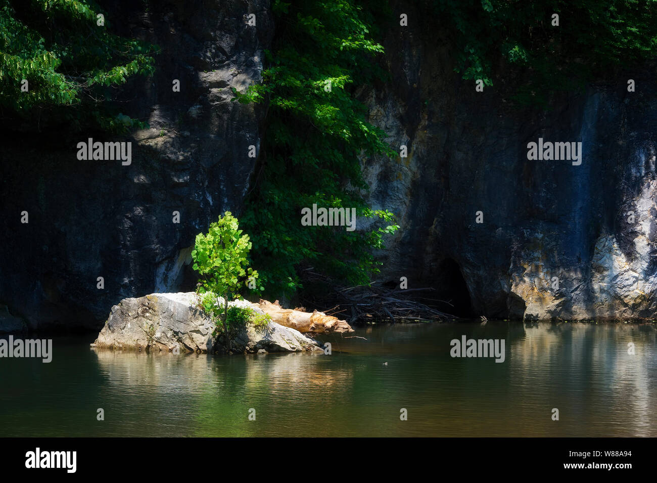 Una piccola isola di roccia nel mezzo di New River, Virginia con un piccolo albero che cresce su di esso. Foto Stock