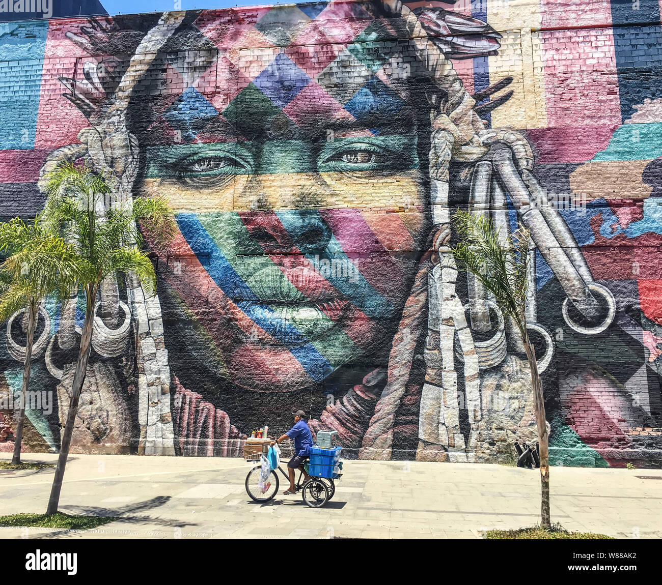 ETNIAS, Eduardo KOBRA,RIO DE JANEIRO Foto Stock