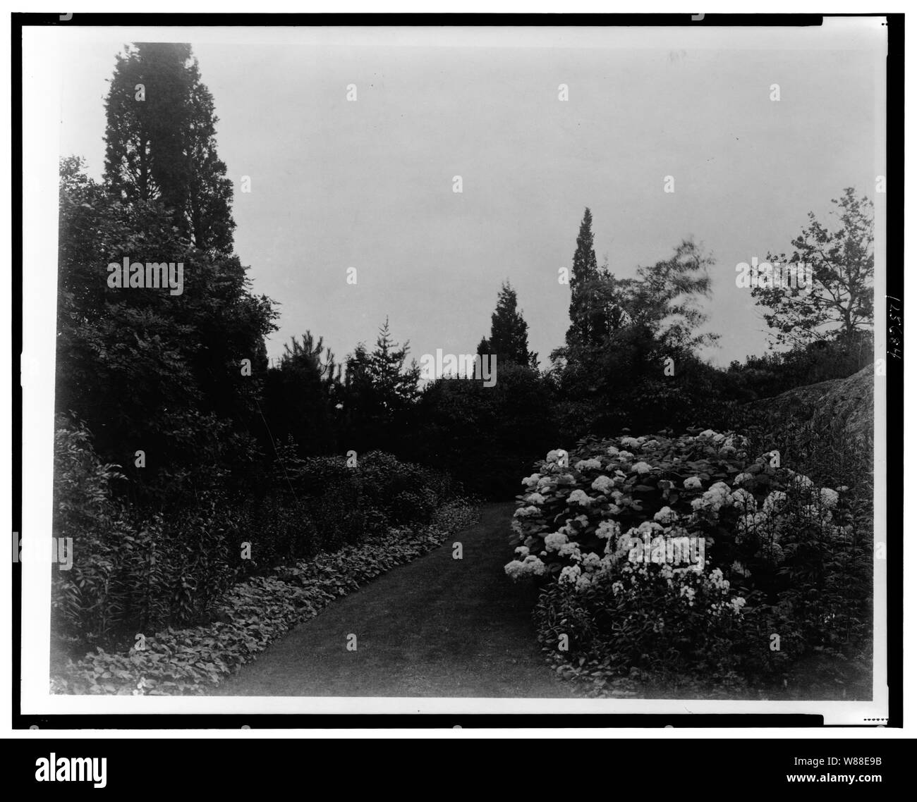 Beacon Hill House, Arthur Curtiss James house, Beacon Hill Road, Newport, Rhode Island. Percorso del giardino sotto casa Foto Stock