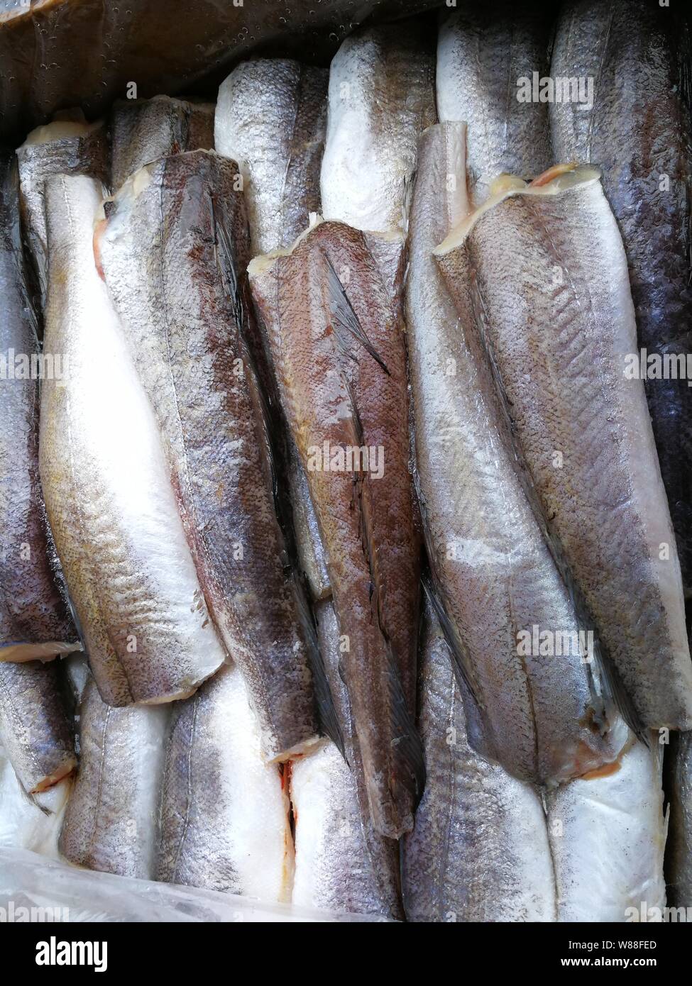 Scatola con pesce congelato nel ghiaccio sul mercato Foto Stock