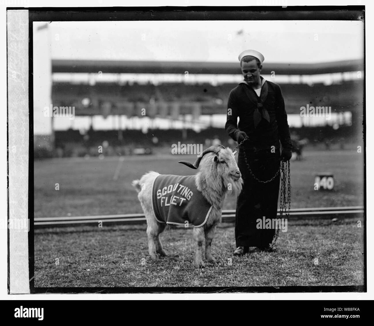 Marina Caeser mascotte per Scout flotta rispetto a Fort Benning, Ga., 11/22/24 Foto Stock